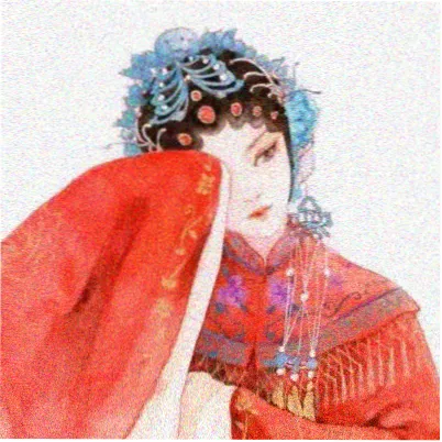 岛民 慢速读者 的头像